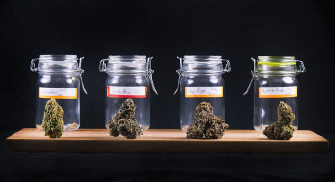 marijuana is a lot more than just thc