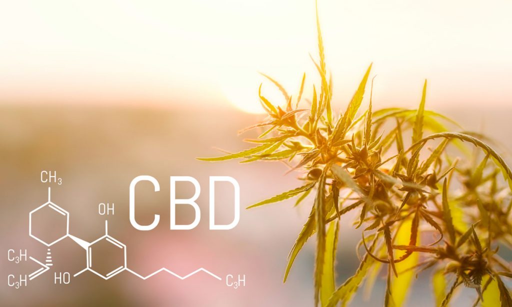 believe it or not cbd is a psychoactive cannabinoid
