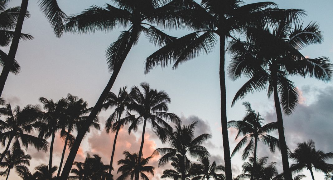 Florida Won't Legalize Marijuana In 2020 Here's Why That's A Good Thing