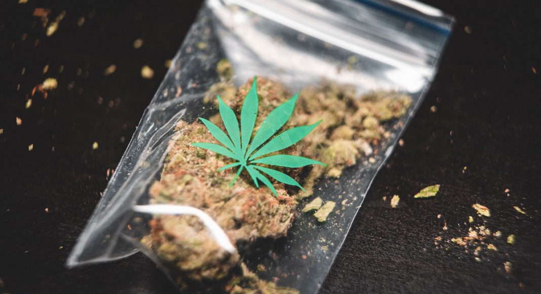 Alabama Senator Tells Cancer Patients To Buy Marijuana On The Streets