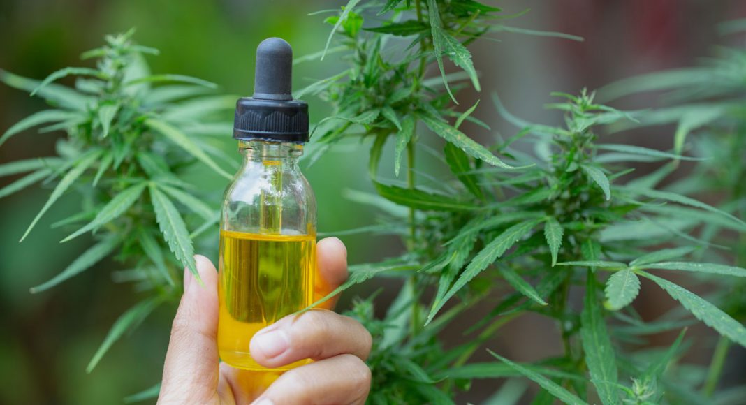 Using CBD To Cope With Festival Anxiety