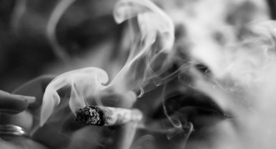 Cannabis Quality Involves Careful Science And Carefree Highs