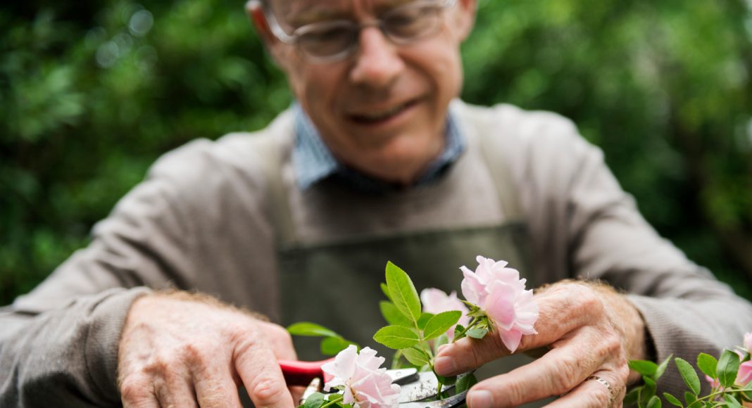 Can Cannabis Help Older Generations Feel Better And Work Longer