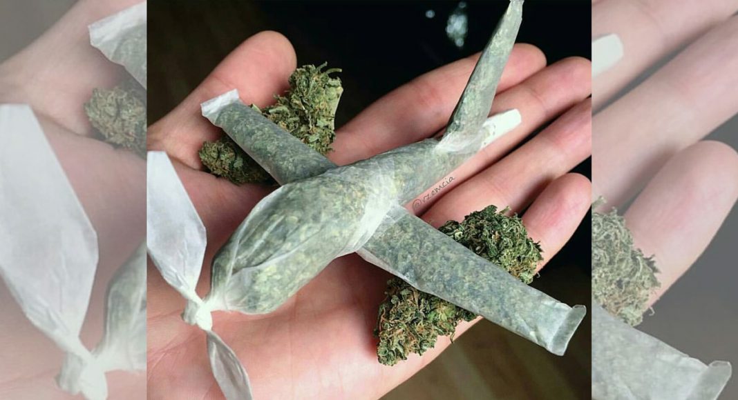 The High Circle, fun cannabis instagram