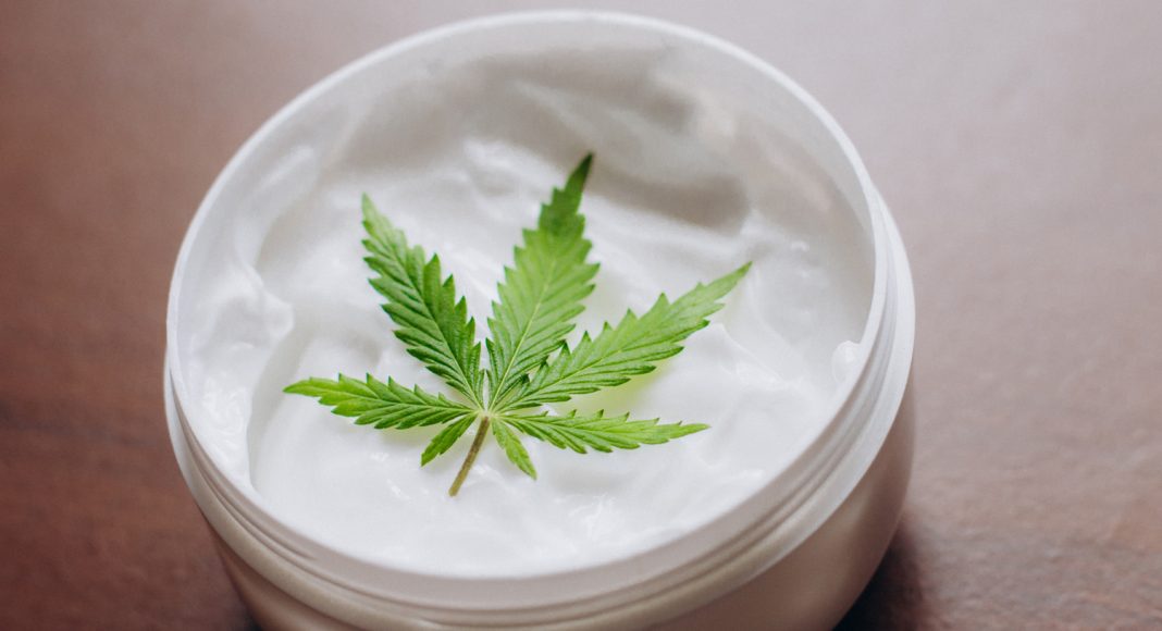 Can This Green Plant Be Part Of Your Fountain Of Youth