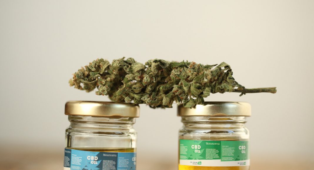 cbd regulations might come sooner than expected