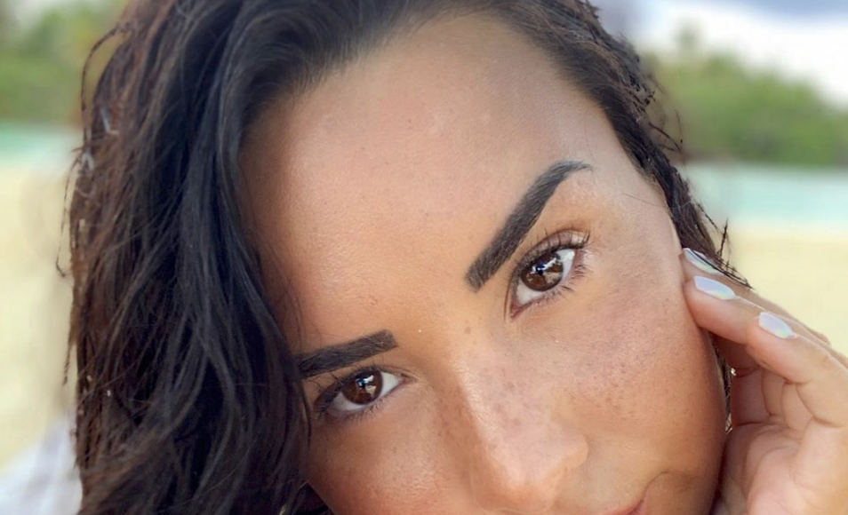 Demi Lovato Destroys Troll