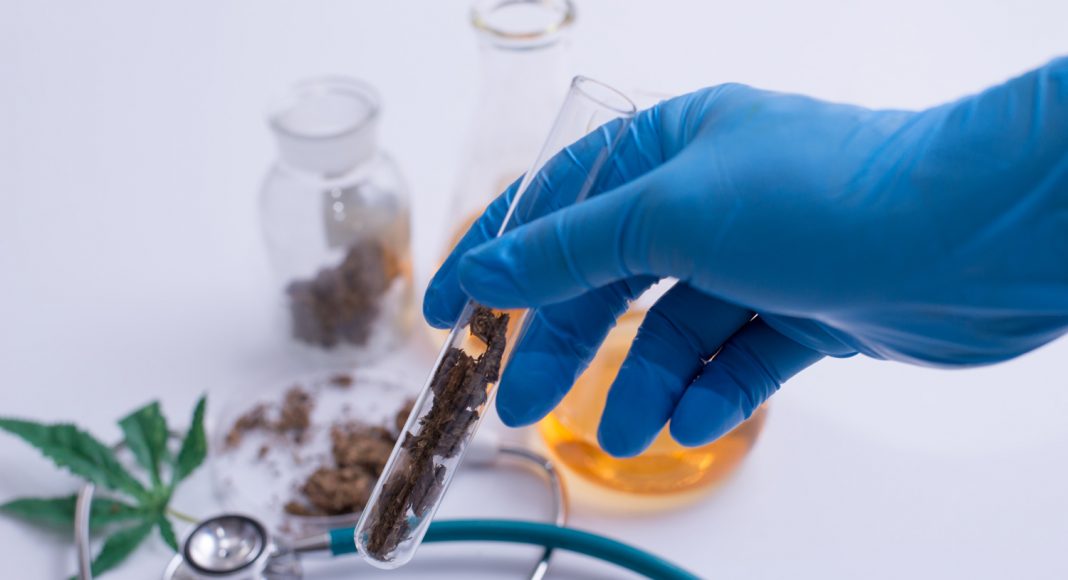 Is The Federal Government Finally Serious About Marijuana Research