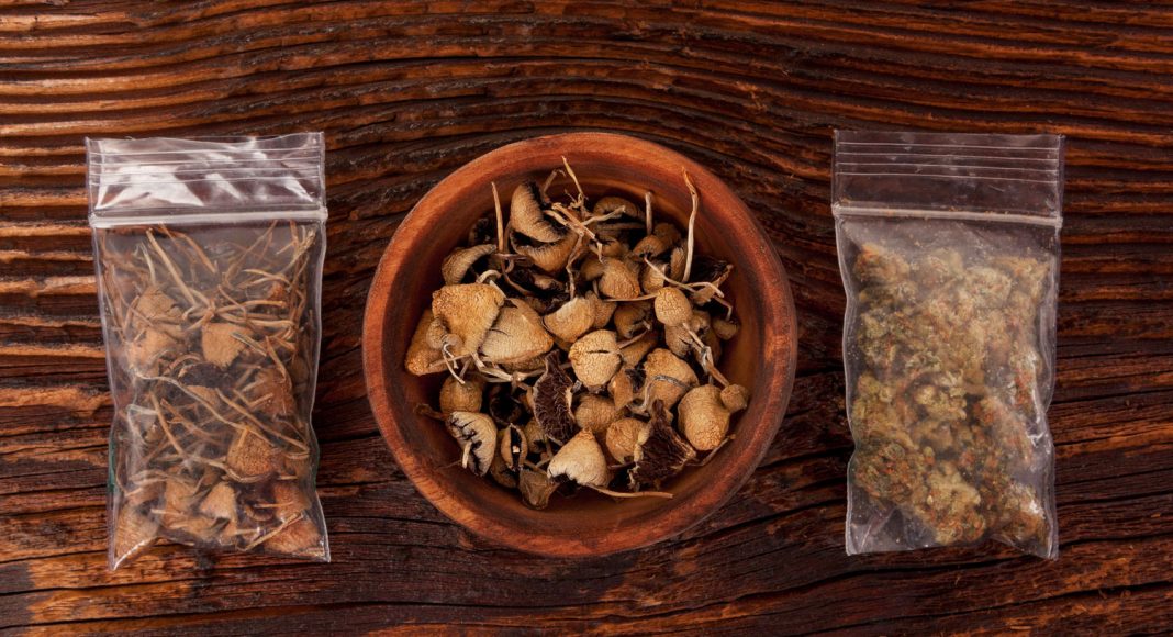 sorry but the science of microdosing psychedelics is slim