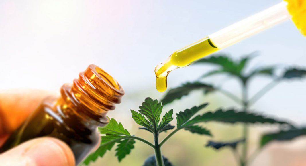 Why The CBD Oil You Just Bought Might Be Bogus