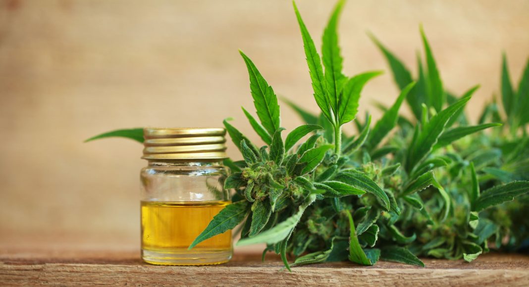 what is the best time of day to take cbd