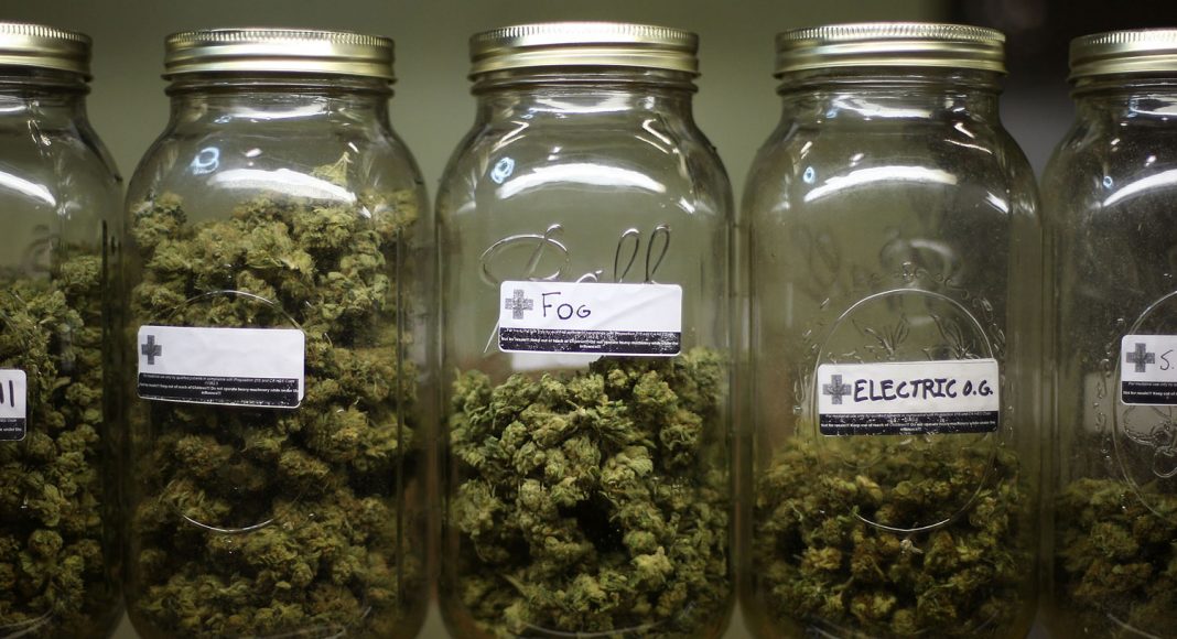 would medicare for all open access to medical marijuana for patients
