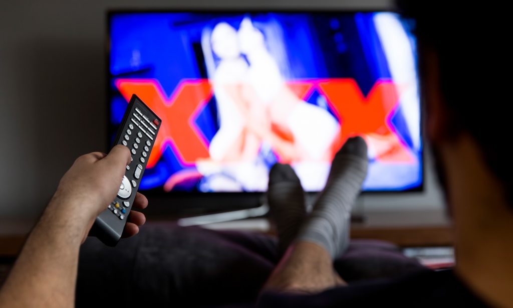 porn lovers seem to be less sexist than regular men