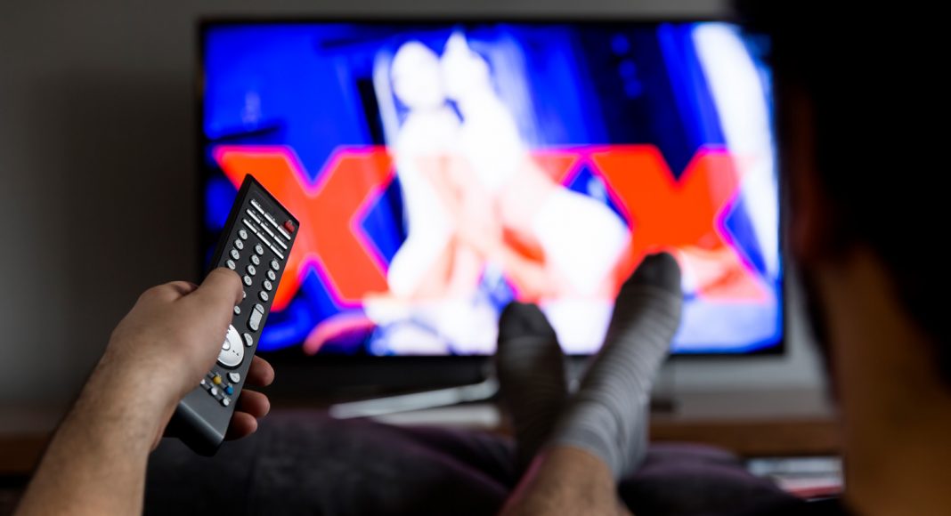 porn lovers seem to be less sexist than regular men