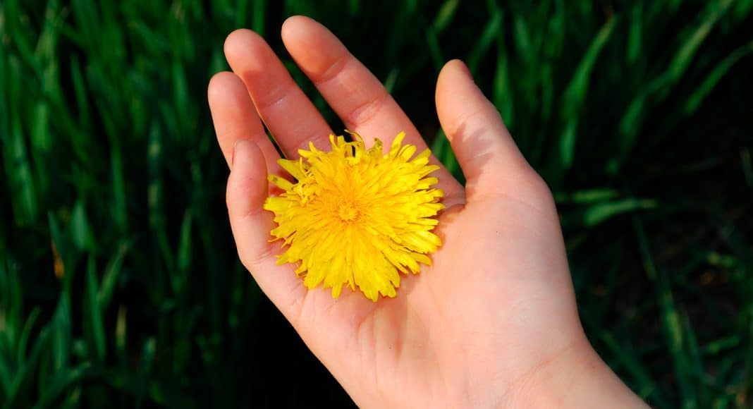5 ways womens bodies signal fertility