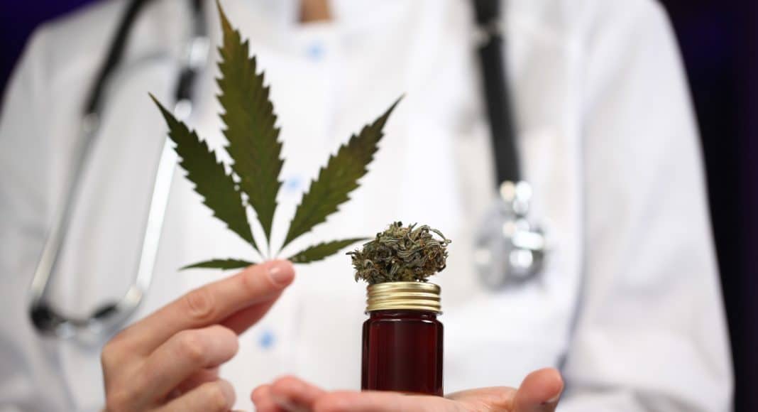 cbd as medicine how much do we know so far