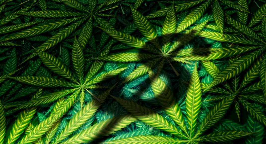 dont hold your breath for marijuana banking in 2019