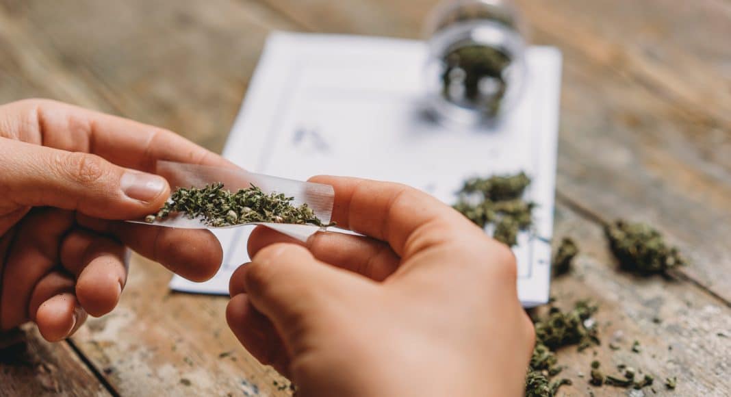 marijuana stronger than ever but doesn't mean what you think it does
