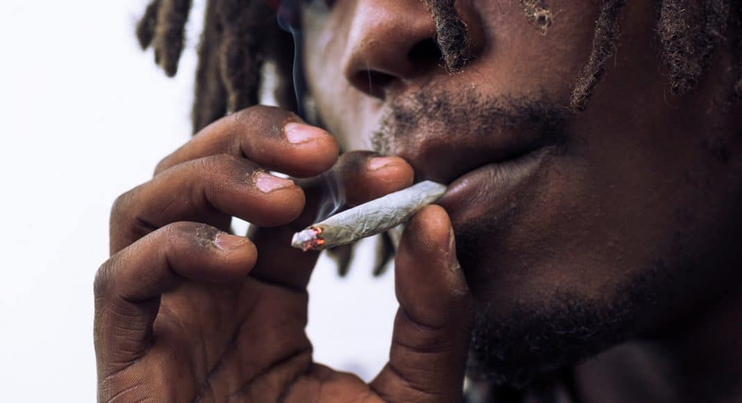 Is Odorless Marijuana The Next Trend Or Just Hype