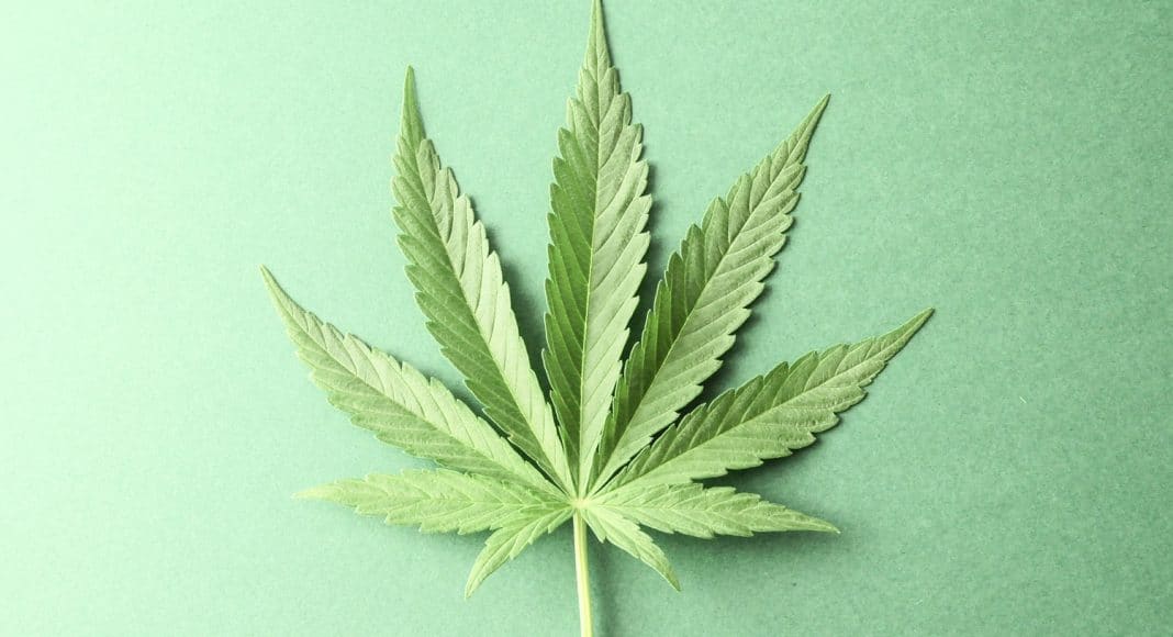top 5 cannabis industry scandals