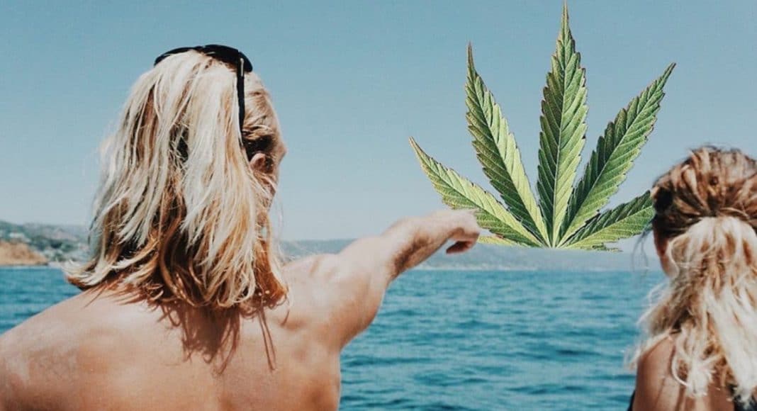 weedstagram highly devoted-