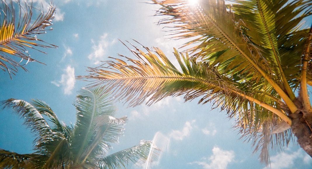 As The Presidential Election Looms, Where Is Florida In Their Legalization Of Marijuana?
