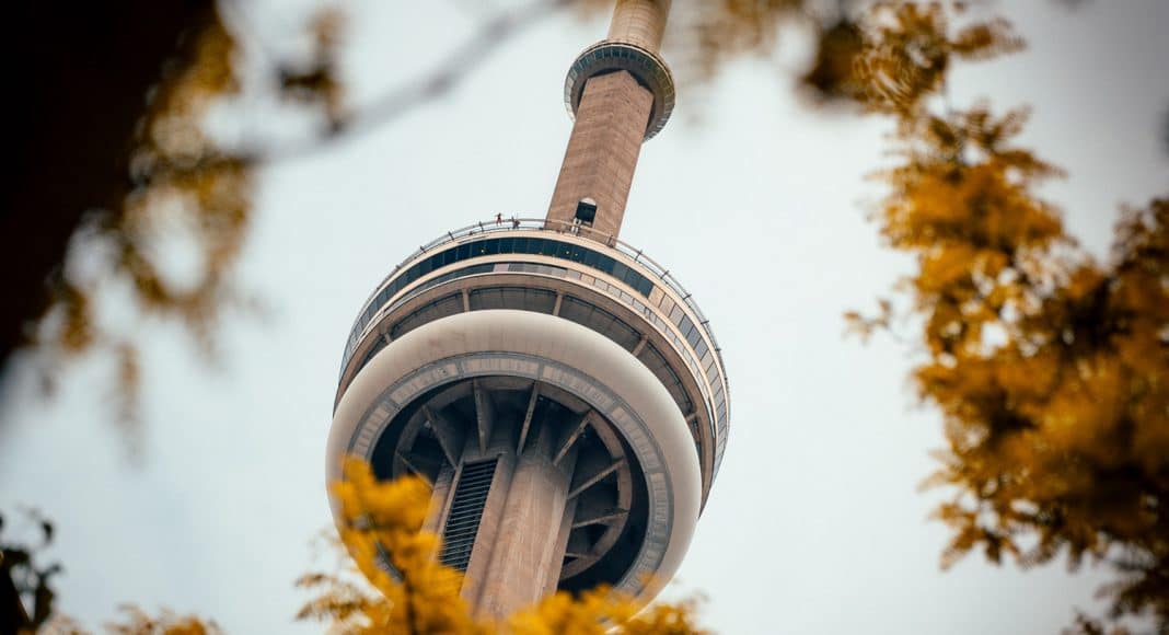 Border Woes: Transporting CBD Into Canada Is Not OK