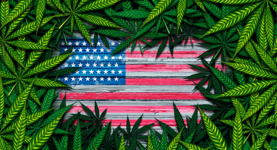 Grading The Presidential Candidates On Marijuana: Overall Rankings