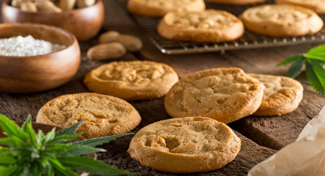 5 Smoking And Vaping Alternatives For Marijuana Use