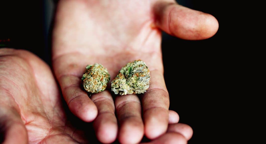 If Your Parents Used Marijuana, You're More Likely To Also