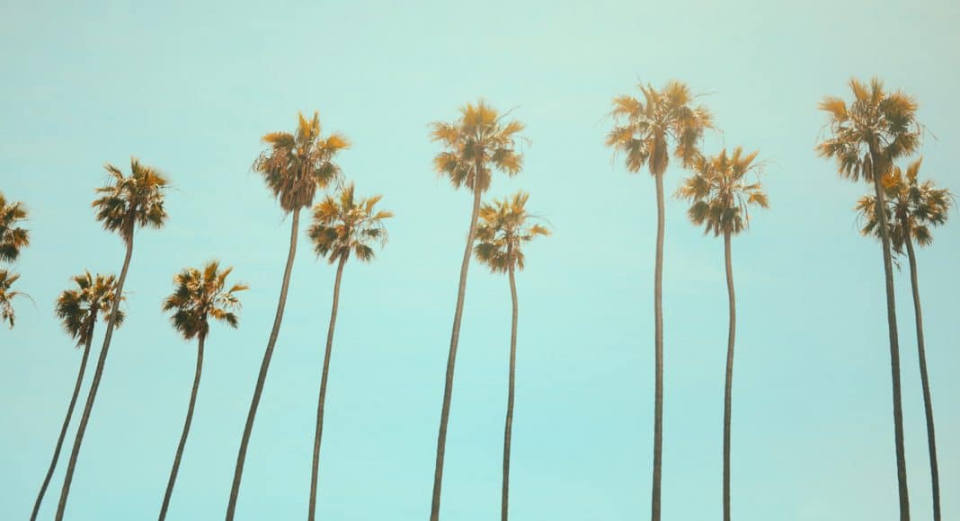 Op-Ed California's Thriving Illicit Market Leading To More Crime