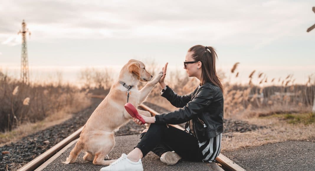 Science Says This Is The Best Way To Train Your Dog
