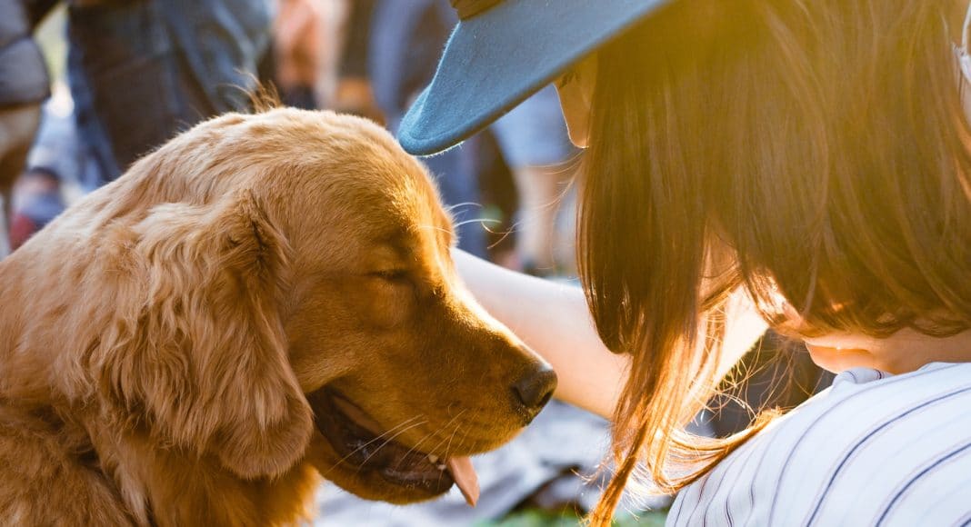 Why Do Dog People Live Longer?