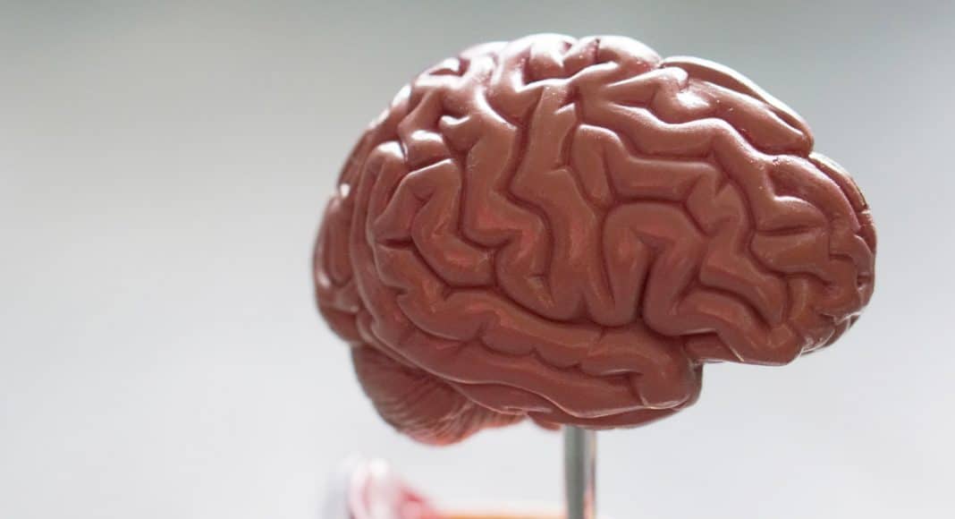 5 Memory Boosters That Actually Work