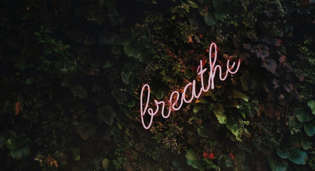 5 Wellness Gift Ideas That Won't Break The Bank