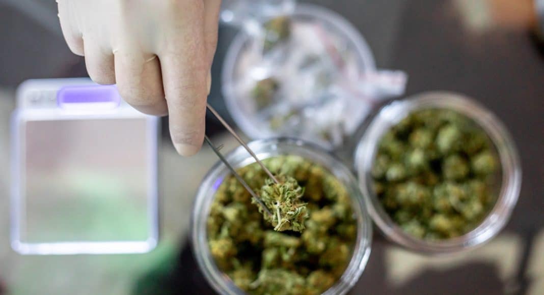 Here's Where Consumers Draw The Line At Where Cannabis Is Sold
