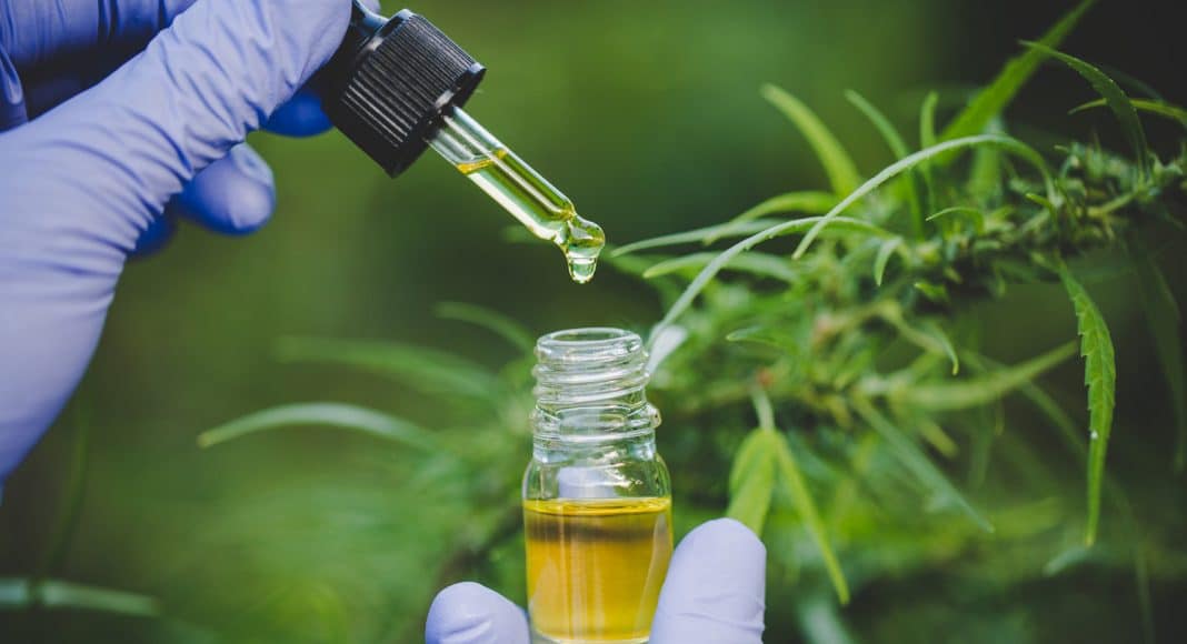 How CBD Provides A Brighter Future For Children With Epilepsy