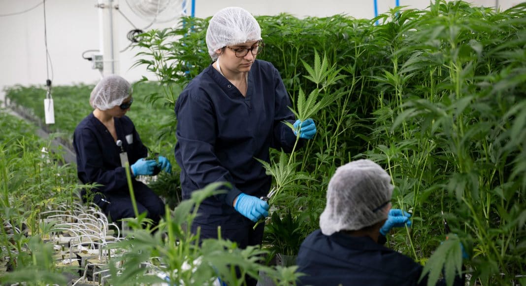 How To Succeed At Marijuana Job Fairs