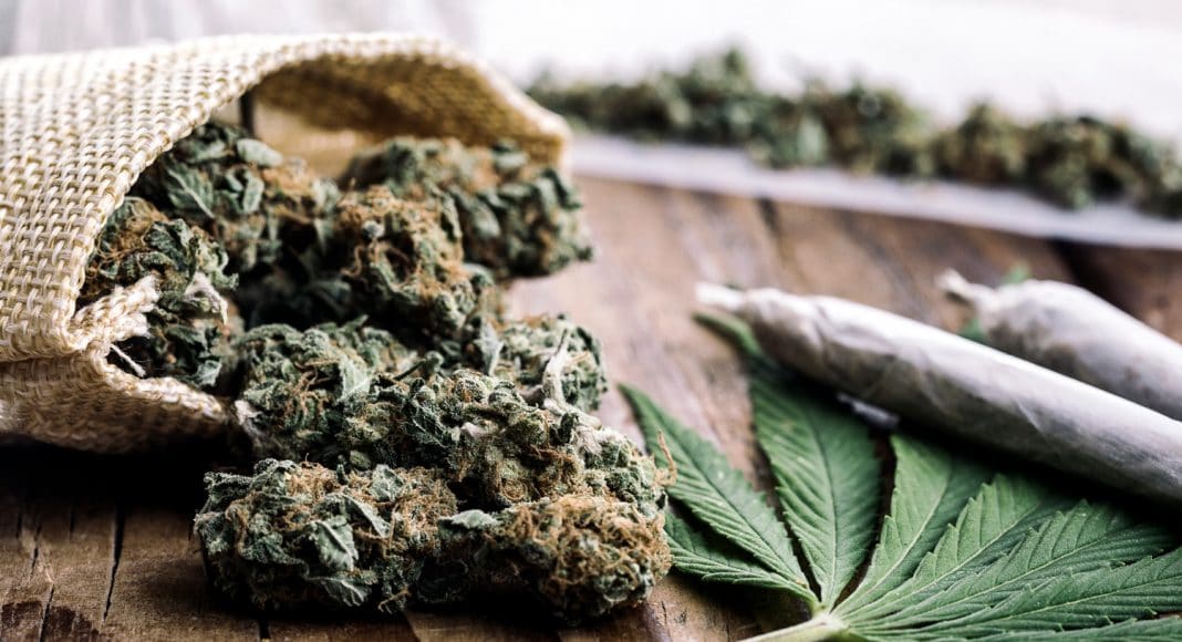 Saying 'Cannabis' Instead of 'Marijuana' Doesn't Influence Voters, Study Finds