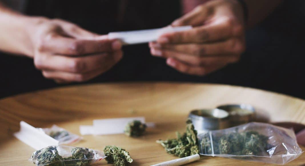 Study Finds Cannabis Use Disorder Declining Among Daily Marijuana Users