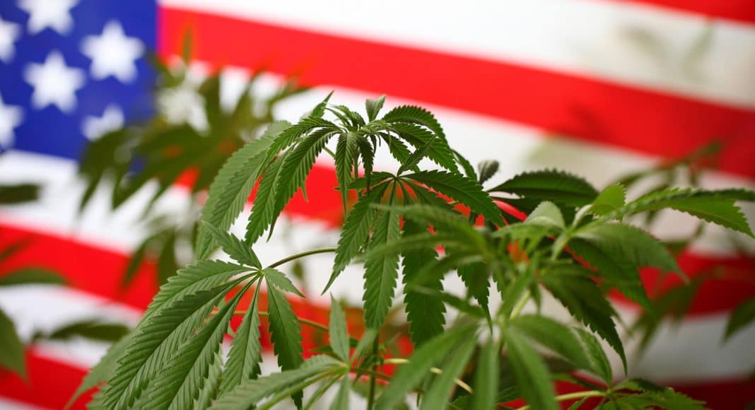 the war on drugs isnt over according to data