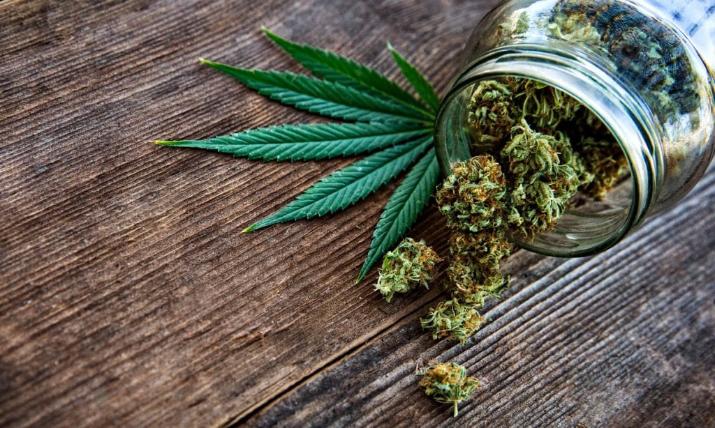 These States Are Most Likely To Legalize Marijuana In 2020