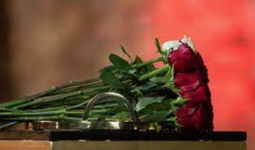 Is The Bachelor Cast Allowed To Consume Marijuana On Air