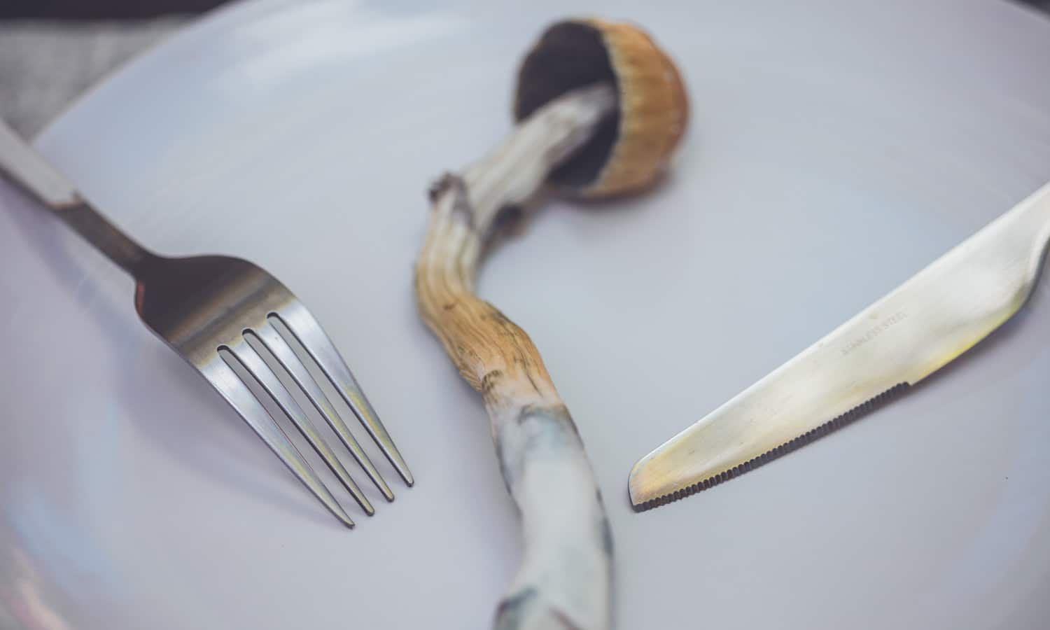 Could Psychedelics Be What Brings Us Back To Nature?