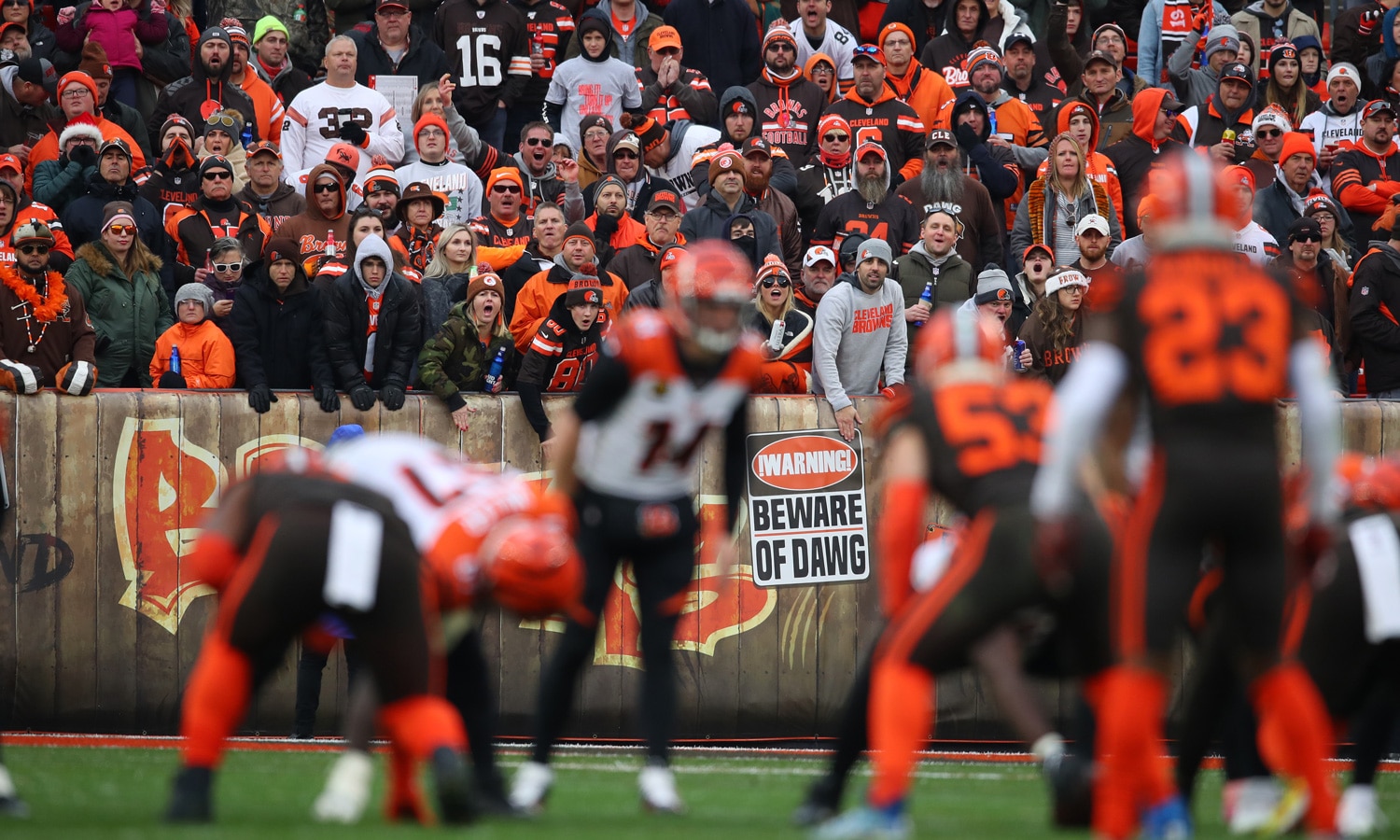 Ohio Voters Say Being A Browns Or Bengals Fan Should Qualify Them As MMJ Patient