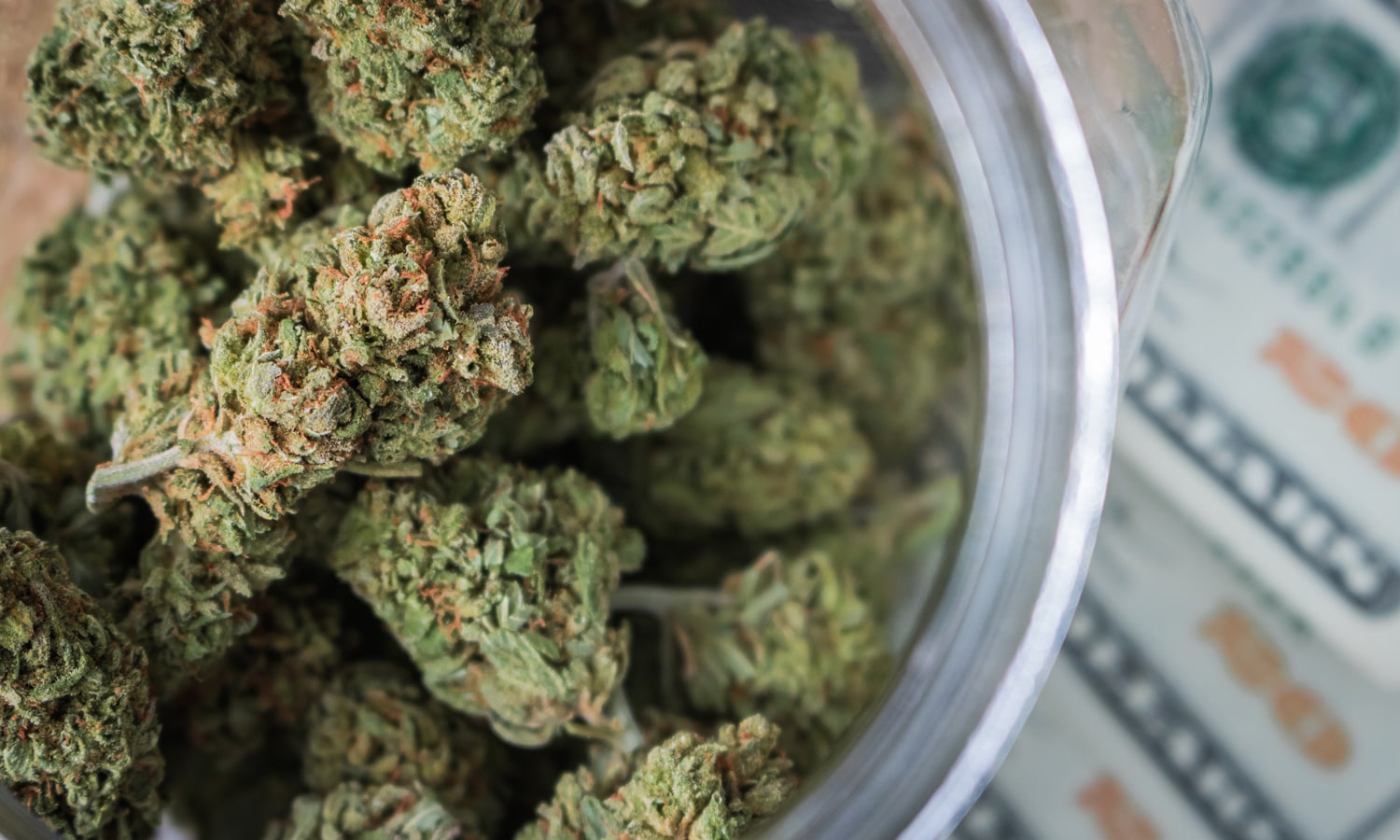 The Rise And Impending Doom Of The Canna-Bro Culture