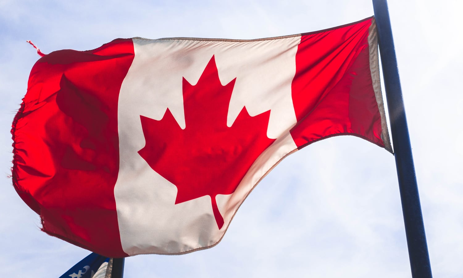 Canadians Panic-Buying Marijuana--Could It Cause A Shortage?
