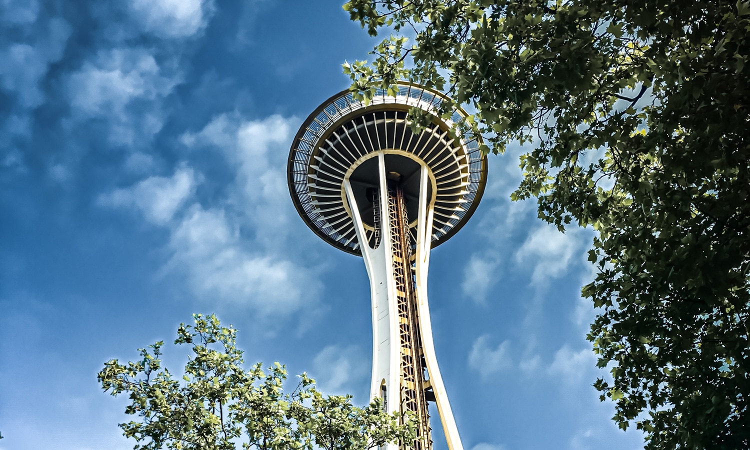 How WA Marijuana Businesses Have Stayed Open During Pandemic