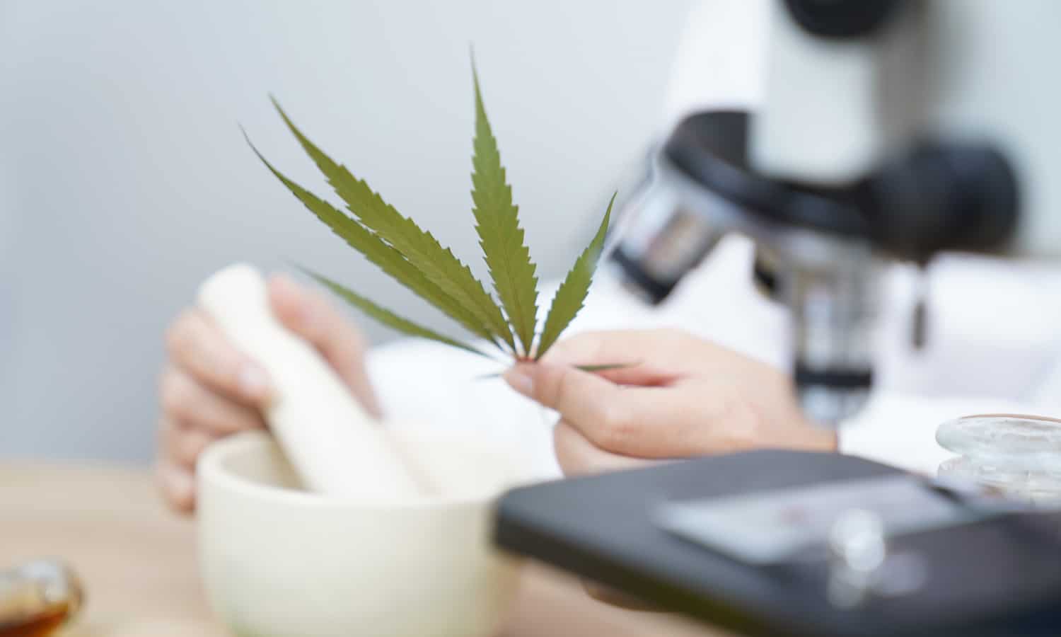 Researchers Say This Is The Best Age For Marijuana Use