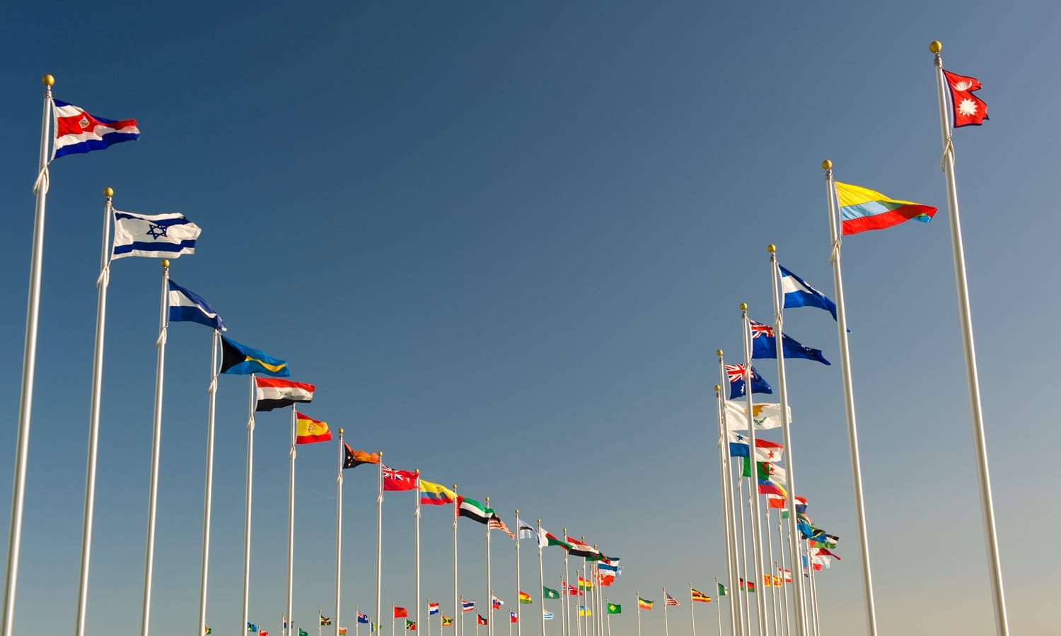 The World Trade Organization And Cannabis